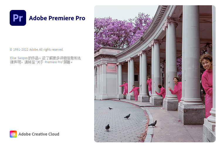 /images/video/premiere.png